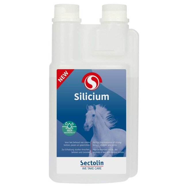 Sectolin Silicium 1liter