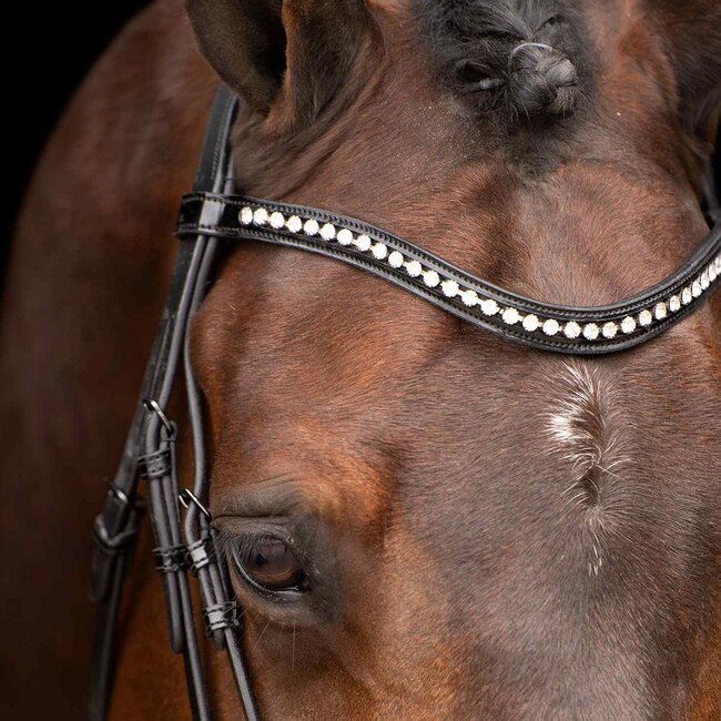 Imperial Riding Hoofdstel IRH Athena Black Cob