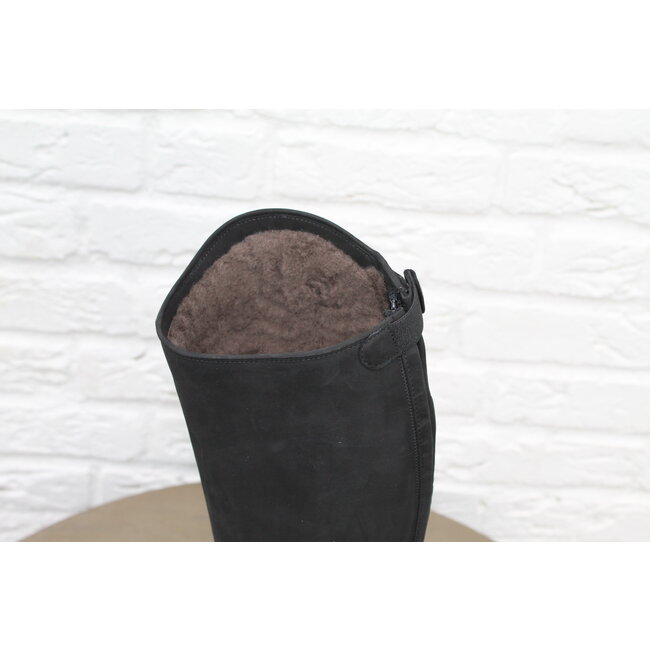 Petrie Petrie Explorer winter