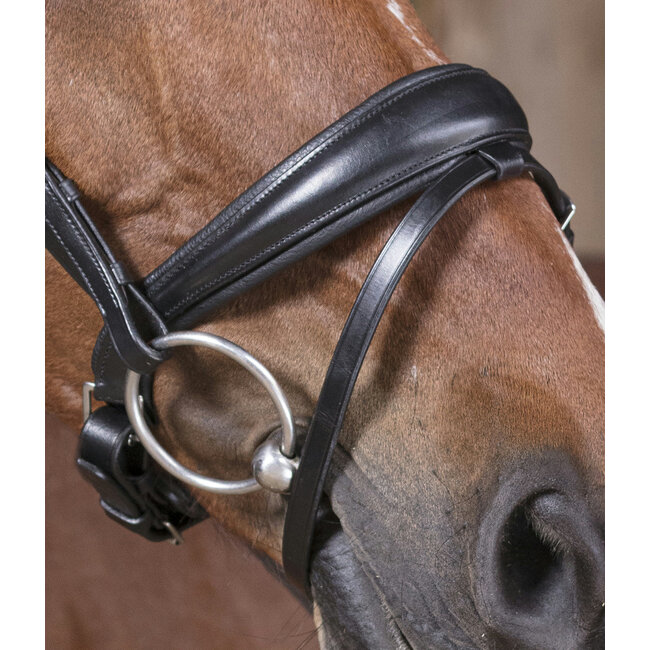 Norton NORTON PRO "STRASS” HOOFDSTEL Cob Black