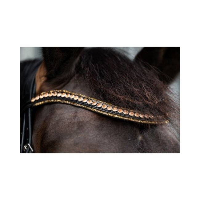 HB Ruitersport HB Showtime Golden Dreams Hoofdstel