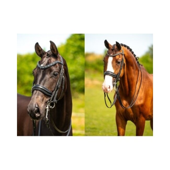 HB Ruitersport HB Showtime All You Needed Hoofdstel