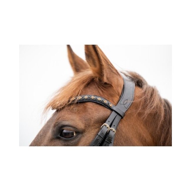 HB Ruitersport HB Showtime All You Needed Hoofdstel