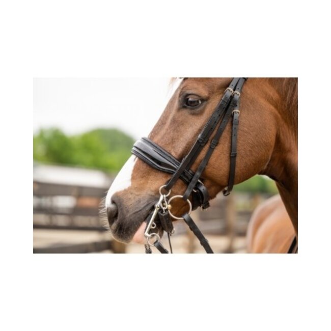 HB Ruitersport HB Showtime All You Needed Hoofdstel