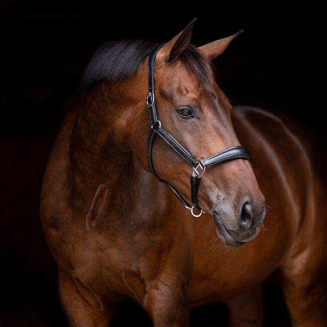 Uniq Bridles Uniq Bridles Leren halster Crystal Rock