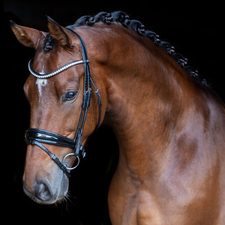 Uniq Bridles Uniq Bridles Comfort Hoofdstel Black Cob