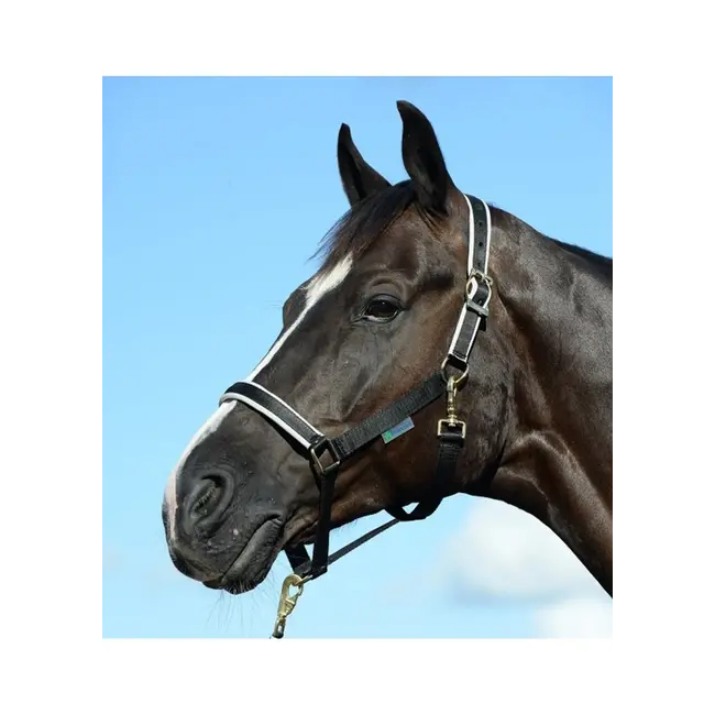 Bucas Bucas Halster Dublin