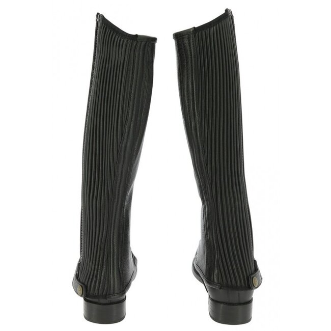 Equitheme EQUITHÈME LEDEREN MINICHAPS