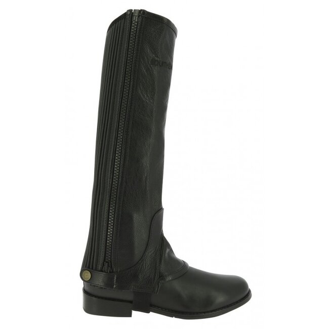 Equitheme EQUITHÈME LEDEREN MINICHAPS