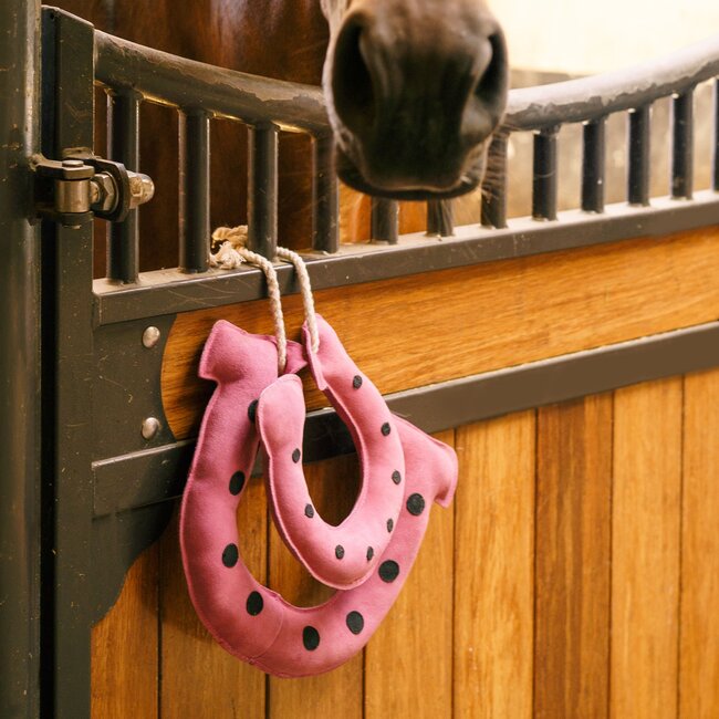 Imperial Riding Imperial Riding Stable buddy Horseshoes S/S 2024