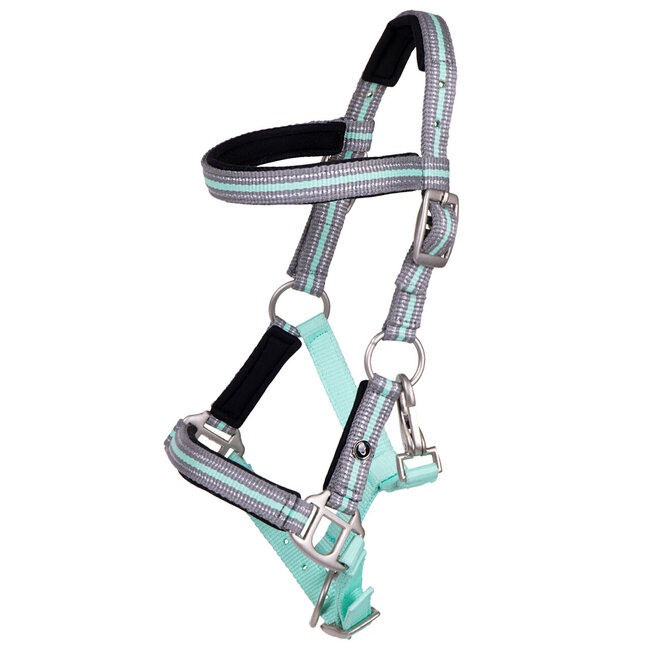 QHP QHP Halster veulen Flore met frontriem S/S 2024