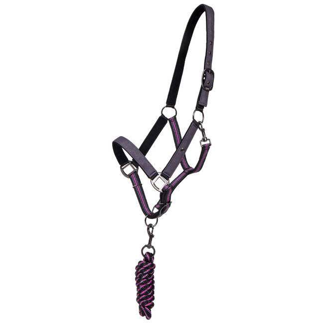 QHP QHP Halsterset met turnout collection S/S 2024