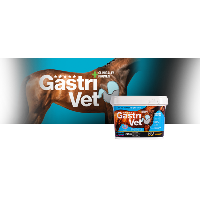 NAF Naf gastri Vet 4KG