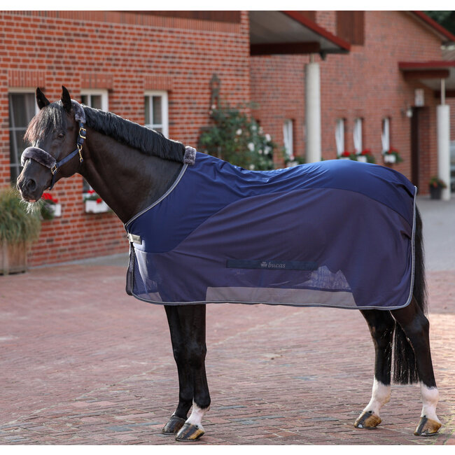 Bucas Show-line Competition Cooler