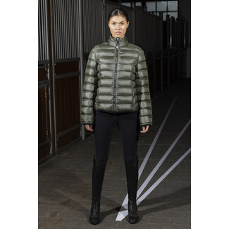 Kingsland KLVam Padded Ladies Jacket A/W 2024  S Green Beetle