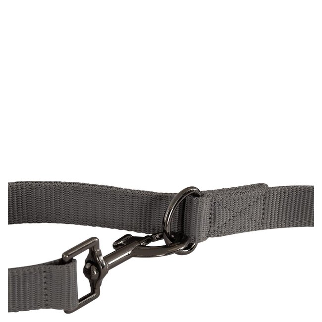 BR BR hondenlijn A/W 24