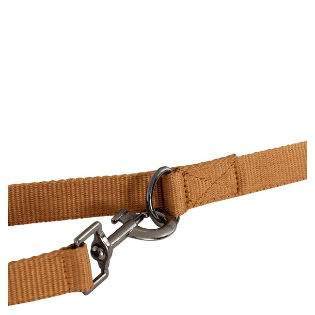 BR BR hondenlijn A/W 24