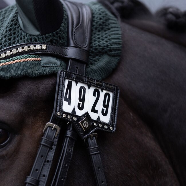 Imperial Riding Imperial Riding Wedstrijdnummer Show en Glow