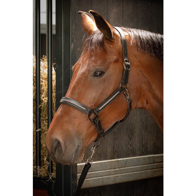 Harry's Horse HH Halster Leder Metallic