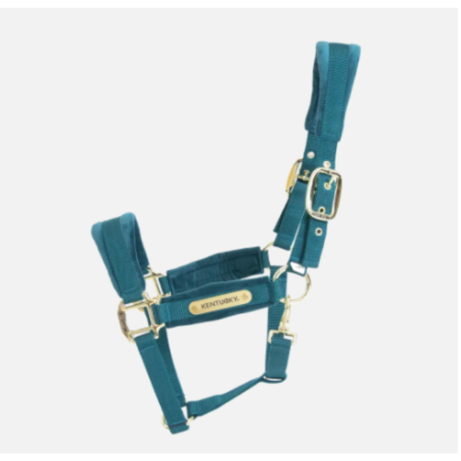 Kentucky Horsewear Kentucky Velvet halster