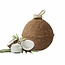 Unika Balls Endurance
