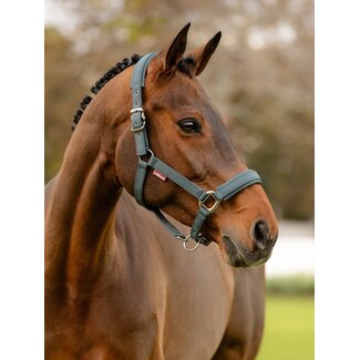 LeMieux 24AW LM Soft Shell Headcollar  Cob Petrol