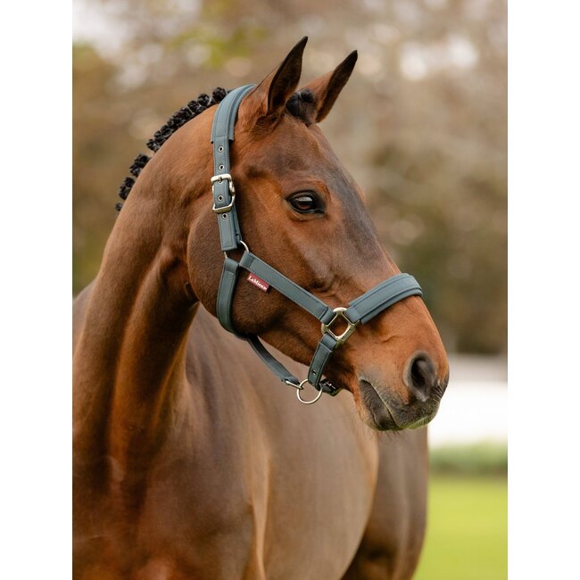 LeMieux 24AW LM Soft Shell Headcollar
