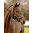 LeMieux 24AW LM Soft Shell Headcollar  Cob Petrol
