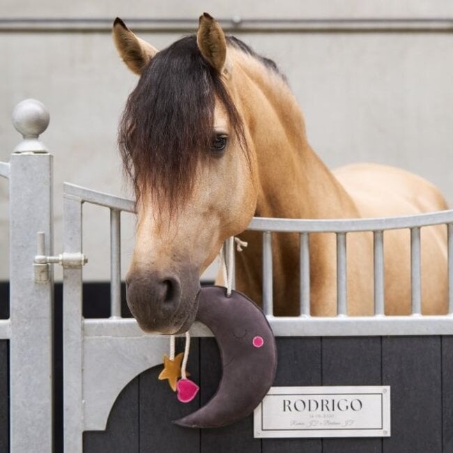 Imperial Riding Stable buddy IRHMoony S/S 25