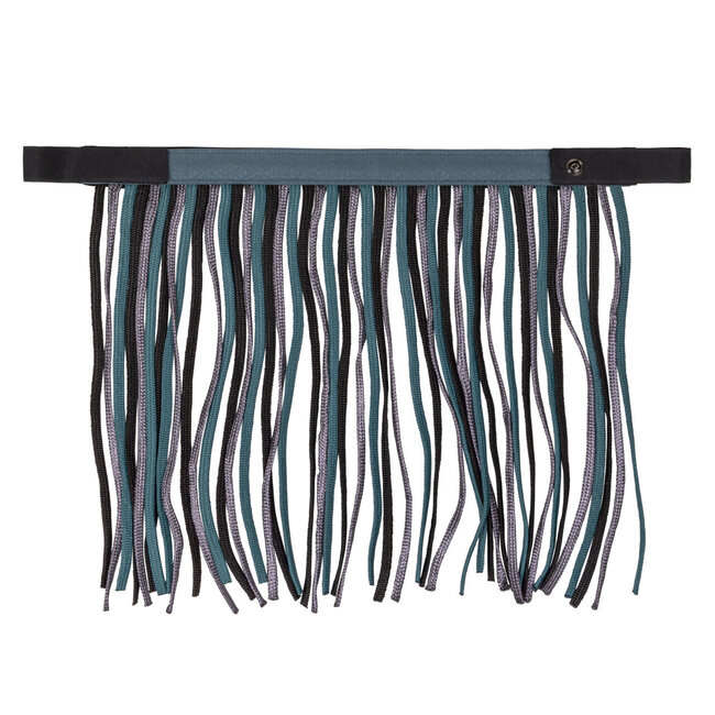 QHP Vliegenfrontriem collection S/S2025