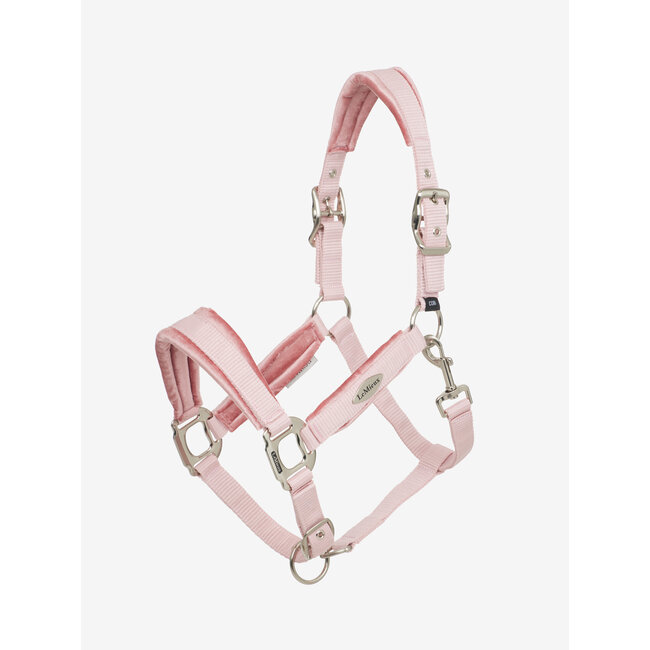 LeMieux 25SS Versailles Headcollar