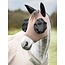 LeMieux 25SS Bug Relief Half Mask