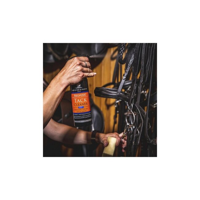 BR carr & day & martin step 1