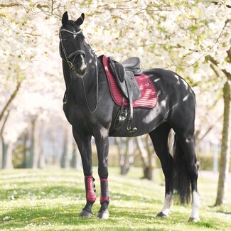 Imperial Riding Zadeldekje IRHJosie DR F/W25