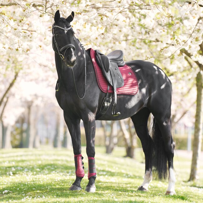Imperial Riding Zadeldekje IRHJosie DR F/W25