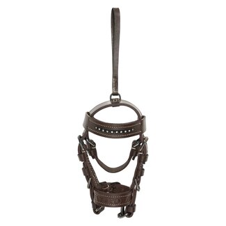 HV Polo Hoofdstel hanger HVPLegacy F/W25