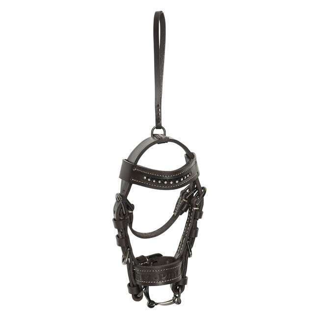 HV Polo Hoofdstel hanger HVPLegacy F/W25