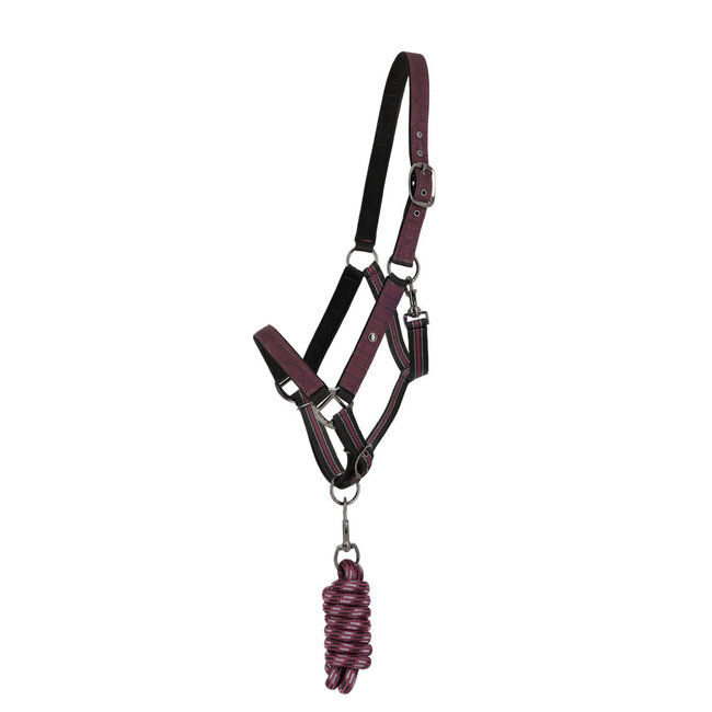 QHP QHP Halsterset met turnout collection F/W25