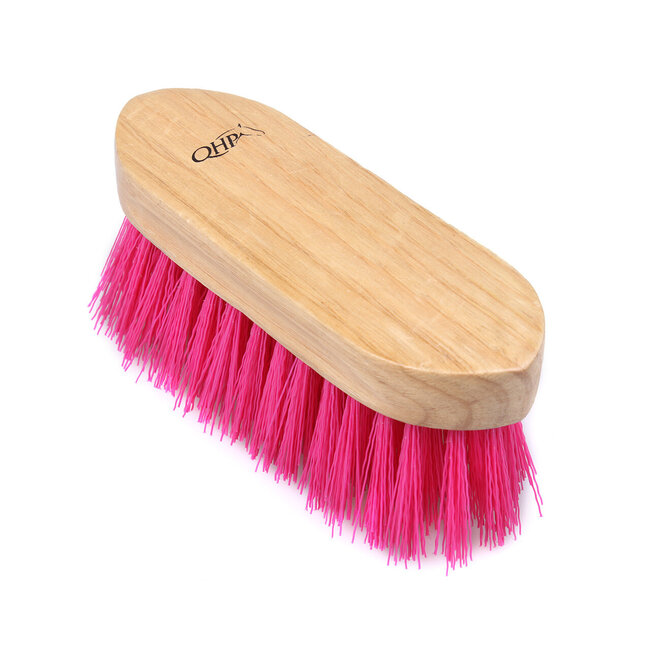 QHP Borstel hard dandy brush