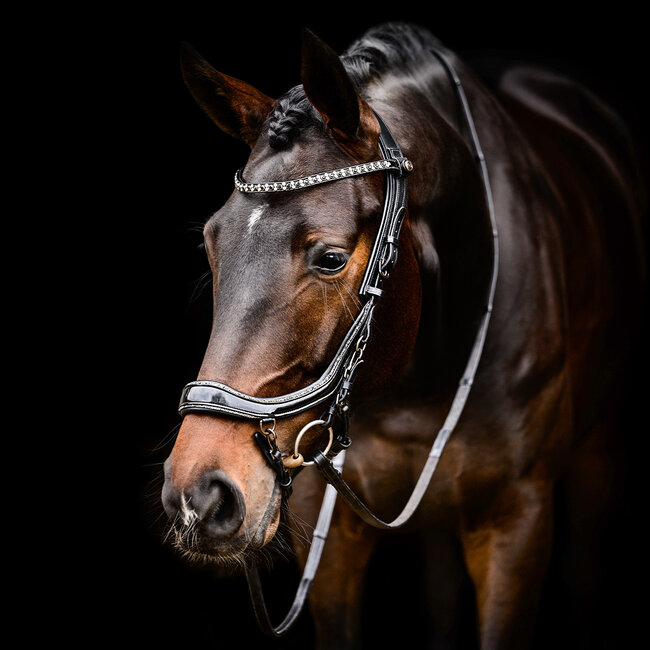 Presteq Presteq Hoofdstel Faysport Glitter