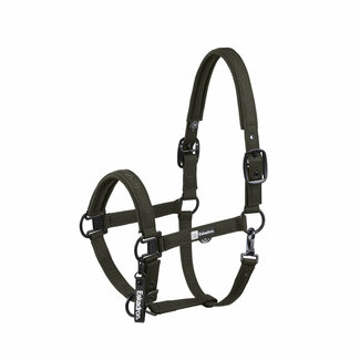 Eskadron Dynamics Halster Sparkle Double Pin