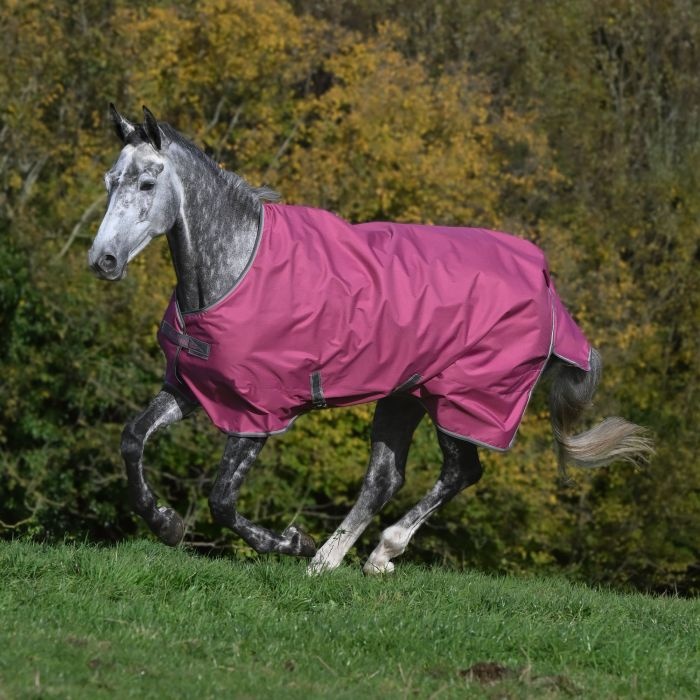 Buiten deken voor paard waterdicht met hoge nek Bucas Freedom Turnout 150g Buiten deken voor paard waterdicht met hoge nek Bucas Freedom Turnout 150g