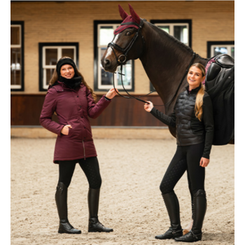 QHP A/W 25