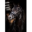 HB Ruitersport hb showtime evalira hoofdstel Zwart Full
