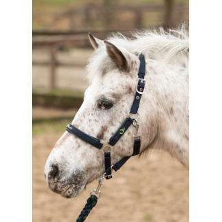Harry's Horse Halsterde Stout navy lime