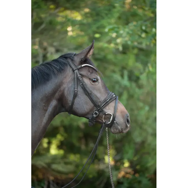 Utzon Utzon Hoofdstel Essentials Single