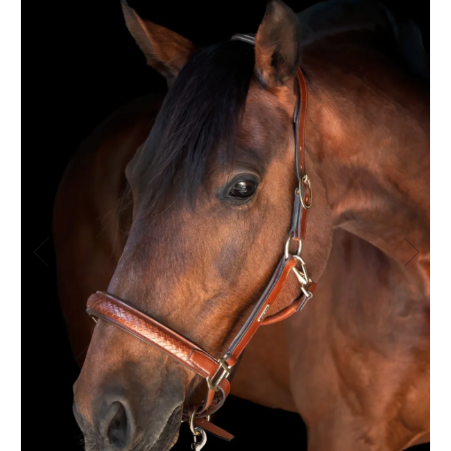 Utzon Utzon Halter Olympic