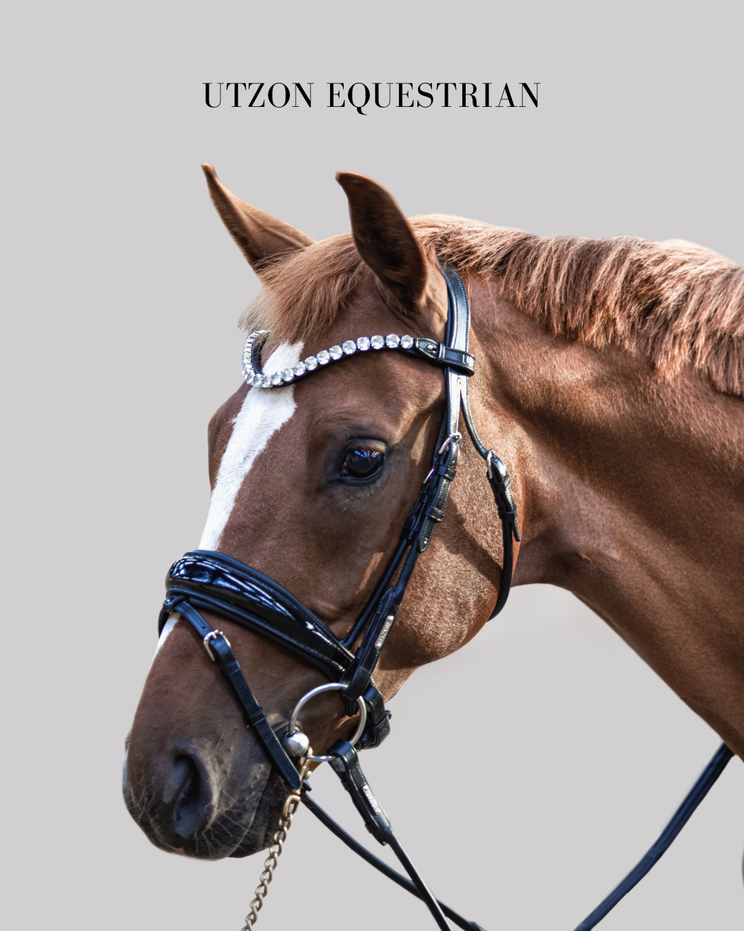 Utzon Equestrian | Luxe Paardentuig & Ruiteraccessoires