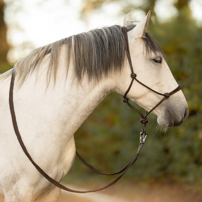 QHP Touwhalsterleer liberta bruin