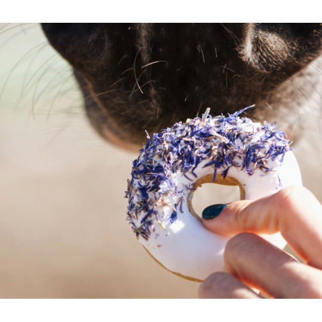 candy horse Candy horse donuts korenbloem rozzenbottel